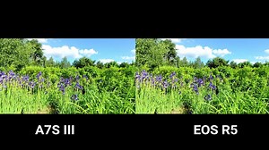 【油管搬运】sony a7s3 vs canon r5 (4K)