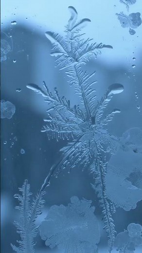 The Beautiful Science of Ice: Timelapse of Crystal Growth#shorts #shortvideo #timelapse