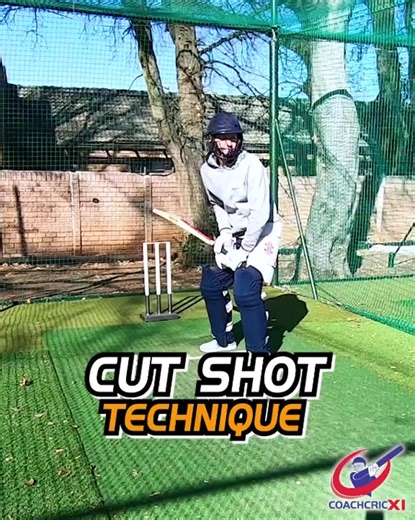 Mastering the Cut Shot: Cricket Batting Tips