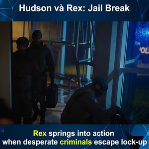 Hudson & Rex - S5.E18 ∙ Jail Break - Hudson & Rex | Hudson & Rex