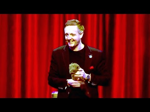 Rocky / Derek the Raccoon by Magicbox - Full Perfomance