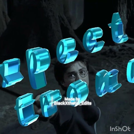 "Expecto Patronum"🪄 #harrypotter #hogwarts #potterhead