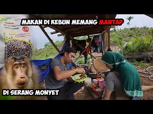 Continue the Palm Oil Plantation Water Hose Project @jemodusuntv In Hajar Monyet Jang | Planting ...