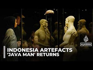 Indonesia welcomes return of ‘Java Man’, first fossil evidence of Homo erectus
