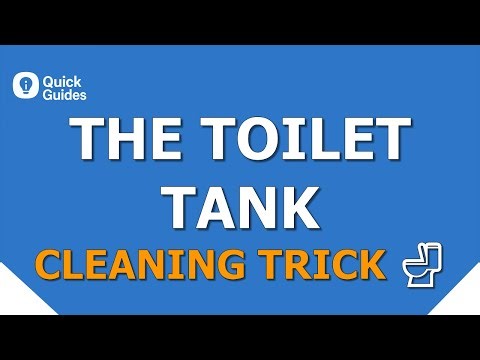 Your Toilet Tank Is Filthy — Try This Hidden Cleaning Trick
