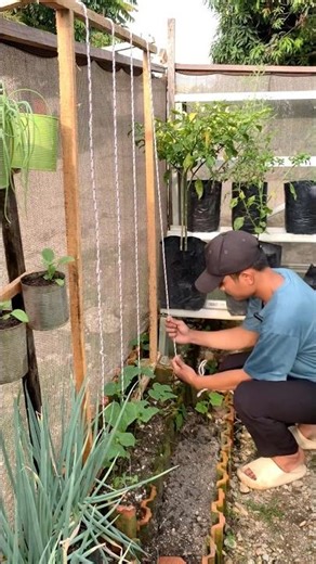 Simple and Tidy Cucumber Trellis Ideas for Small Spaces #gardening