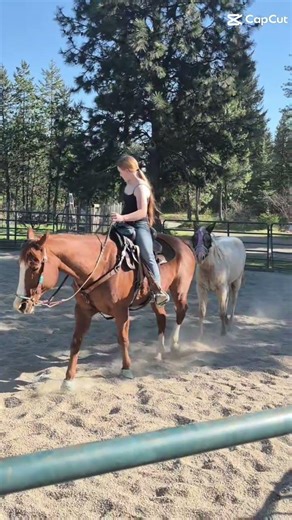 Tally's first time being ponied! #rideforrosey