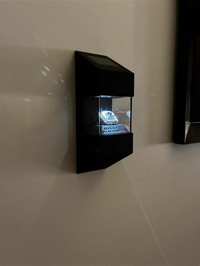 Championship Ring Display - Etsy Canada