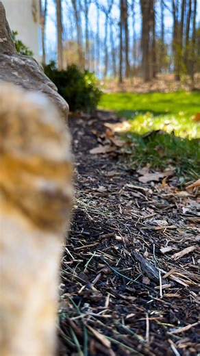 March means mulch!! 🏡 #SpringIsHere #Spring2026 #SpringVibes #SpreadMulchNotWar #Mulch #Edging #Mulching #MilchInstallation | Wilde Lawn Service