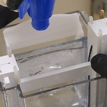 Video: Gel-seq: Un método para la preparación de bibliotecas de secuenciación simultánea de ADN y ARN utilizando matrices de hidrogel