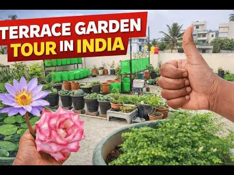 Want a PERFECT Garden? Watch This Rooftop Garden Tour 2026