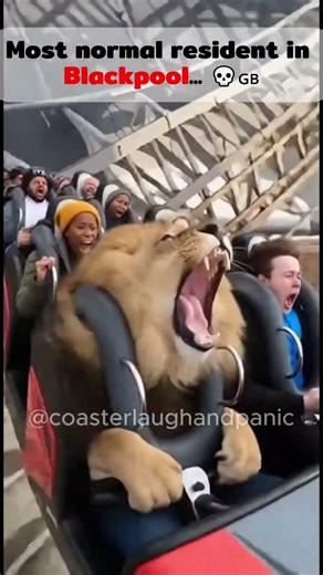 Reviewing The Big One at Blackpool (GONE WRONG) 🎢