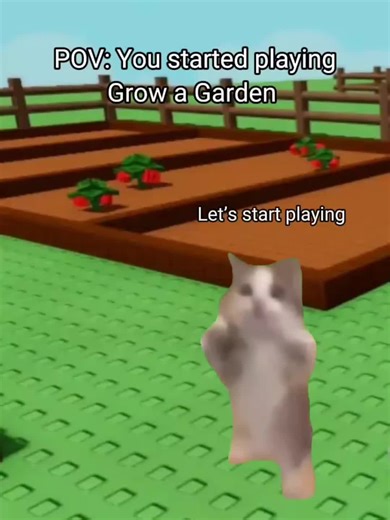 Videa uživatele song text (@song_text26) s původní zvuk - song text