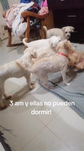 Vicki Guillén on TikTok