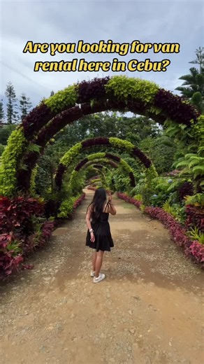 Affordable Van Rentals and Tours in Cebu