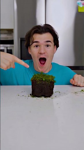 I build Minecraft Grass Block🤩