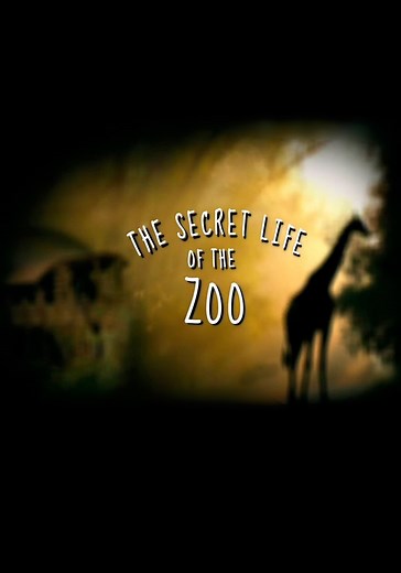 The Secret Life of the Zoo - streaming online