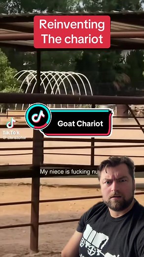 Goat Chariot: Reinventing the Ancient Chariot with Goats