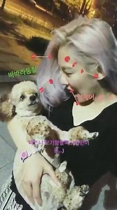 98 reactions · 3 comments | (HyoInstaStory) 170717 [TRANS] Hyoyeon: "Should we go?" - Is it... Alien language... - Disney mosquito repelling bracelet... (For children..) - Bewildered Barbara Trans by Sonexstella | Kim Hyoyeon ~ Dancing Queen ~ | Facebook