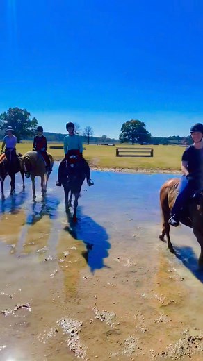 Trail Rides at Texas Rose Horse Park! Fun for the entire family! Trail rides are offered at Brunson Equestrian Center - they make great team building activities! We cater to all ages and levels of riders. Both disciplines offered western or English to ride in the wooded rolling hills of God’s country East Texas. SEI approved riding helmets are provided, must call or text to make a reservation. Contact Kim - 817-683-8284 | Texas Rose Horse Park