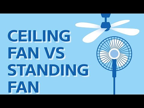 Ceiling Fan vs Standing Fan – Which One To Choose [REVIEW]