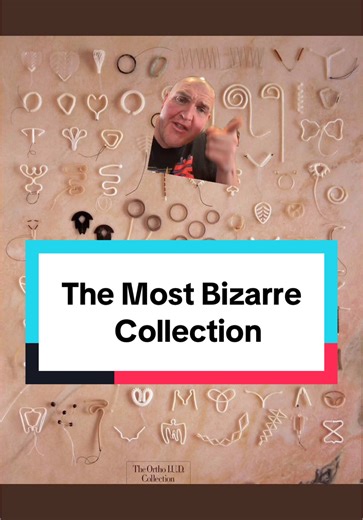 The Most Bizarre Collection Unveiled