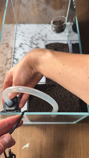 Bastian on Instagram: "Caridina Setup. 17L Weißglas Flachaquarium mit Undergravelfilter System. Heute richte ich ein neues Aquarium mit nur 16 cm Höhe ein, speziell für meine Blue Bolt Garnelen. Das Weißglasbecken fasst 17 Liter und bekommt eine schwarze Rückwandfolie für maximale Tiefenwirkung. Als Filtersystem nutze ich eine Undergravel Filterbox, die ich wegen der geringen Beckenhöhe ohne Luftheber über einen Pat Mini mit einem Schlauch betreibe. Als Substrat nutze ich ADA Gold Active Soil. A