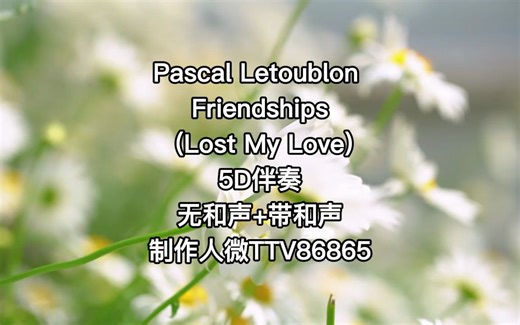 【伴奏】Pascal Letoublon - Friendships (Lost My Love) 伴奏
