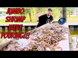 INSANE NIGHT TIME SHRIMP RUN- Oak Hill Florida Dipping Shrimp Non-Stop!