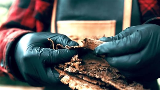 Amadou Tinder Sponge: Bushcraft Fire Starter (10g) - Etsy