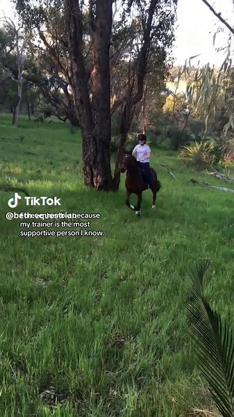 Pony Training Tips from a Supportive Horse Trainer