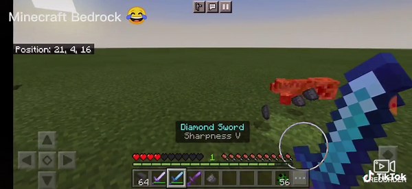 Minecraft Java Vs Minecraft Bedrock Survival Mode #minecraft #minecraftjava #minecraftbedrock #survival #fypシ #viral #betteritminecraft