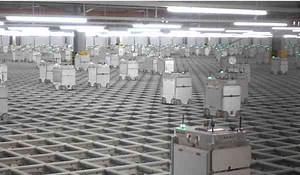 What happens when a robot takes your job?