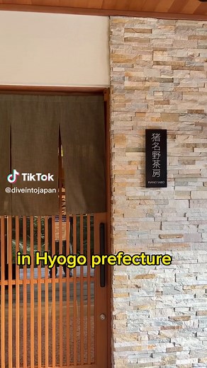 Exploring Arima Town: Trying Japanese Jelly Mochi