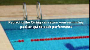 AppliaFit Trap Cover O-Ring Compatible with Pentair Sta-Rite 35505-1440 for Select Pool and Spa Pumps (3-Pack)