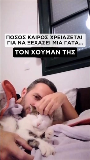 Πόσος καιρός χρειάζεται για να ξεχάσει μια γάτα τον χουμαν της;