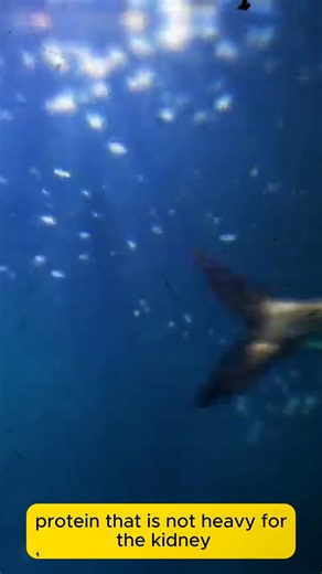 5 alimentos que debes consumir a diario | Doctora Jadi Landivar