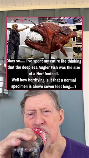 I Thought The Deep Sea Angler Fish Was The Size of a Nerf Football.