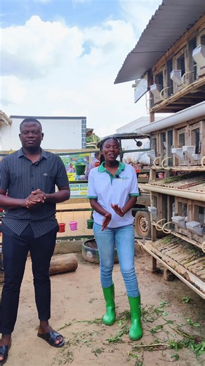 Welcome to Spark Africa, the home of smart Farming.