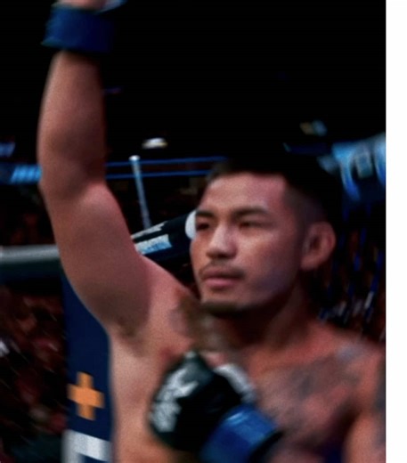 Joshua Van's UFC Journey: UFC 327