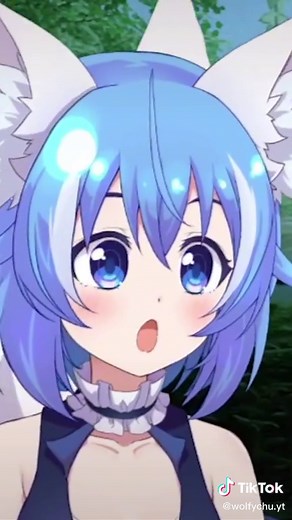 Virtual Reality Cat Game | Funny Twitch and Youtube Highlights