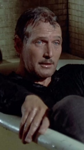 Turner Classic Movies on Instagram: "THE STING (‘73) was the second film on which Paul Newman, Robert Redford and director George Roy Hill teamed up. The trio had first worked together on the hit film BUTCH CASSIDY AND THE SUNDANCE KID in 1969. Nominated for ten Oscars, it took home 7 including Best Picture. The film is available on Watch TCM."