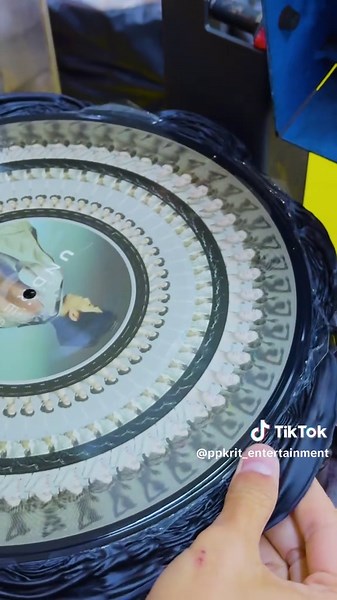 DON'T MISS OUT! 💿 It's now or never to collect the 'PP Krit Undress Zoetrope & Picture Disc Vinyl' until 30th November 2025 #PPKritUndressVinyl #ZoetropeVinyl #PictureDisc #PPKritt