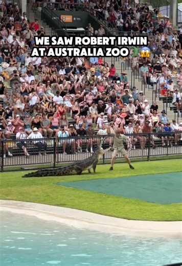 Visit to Australia Zoo: A Day with Robert Irwin