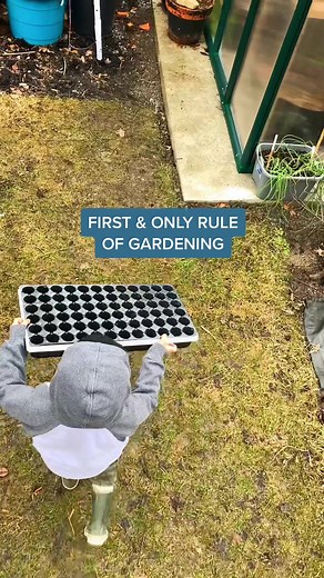 Enjoying the Gardening Process: Tips for Joy and Fun