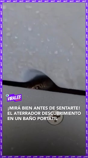 3M views · 11K reactions | #Virales I  Un video que se volvió viral...