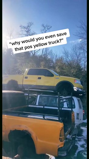 Wynne Sikorski on TikTok