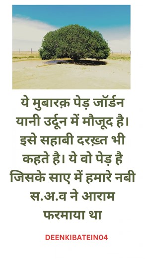 ye mubarak pwd jordan yaani udoon me #allahuakbar #motivation #rasoolallah #hadees #muhammadﷺ #ali