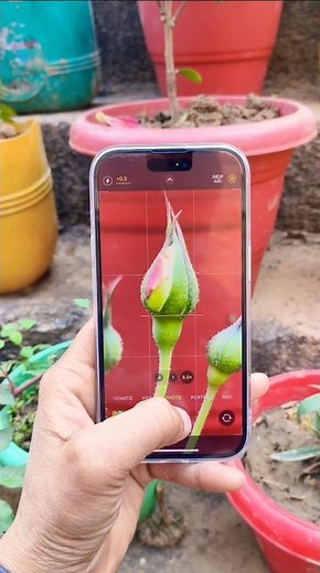 IPHONE 15⚡ Camera Test📸#iphone15 #iphone14 #iphone13 #iphone16 #trending #tech #viralshorts #viral