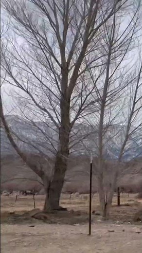 Lone Pine Winter Drive: Stunning Snowy Landscapes & Scenic Views!